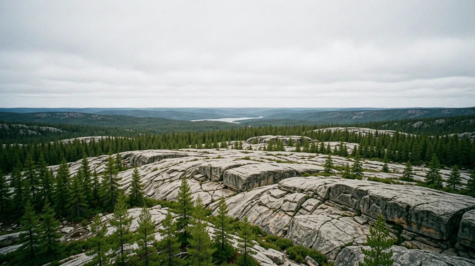 The silent precision of the Canadian landscape